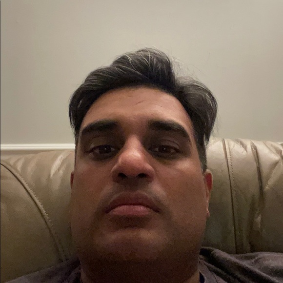 Meet your Posher, Sunny - Picture 1 of 1